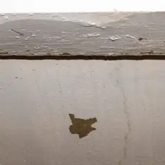 Regenwasser kommt durch die Wand, hinterlässt feuchte Spuren und lässt die Farbe abplatzen.