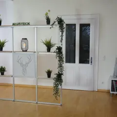 Ein Regal mit Pflanzen und Deko hilft, den Raum optisch zu trennen. Eine Tür und ein Fernseher sind im Hintergrund zu sehen.