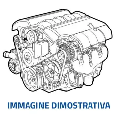 Schema motore Ford Fiesta 1.4 TDCI: disegno tecnico di un motore, con dettagli su cinghie, pulegge e alternatore.