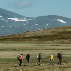 Vandring i fjällandskap med snöklädda toppar, en grupp vandrare med ryggsäckar rör sig över en gräsbevuxen slätt mot Helags Sylarna.
