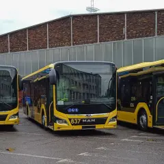 Nowe żółte autobusy MAN gotowe do kursowania między Gdańskiem a Katowicami.