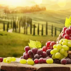 Die überraschenden Vitamine in Weintrauben und ihre Gesundheitsvorteile