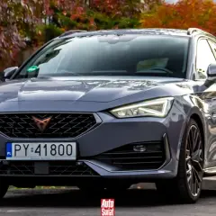 Szary Cupra kombi z jesiennymi liśćmi w tle.