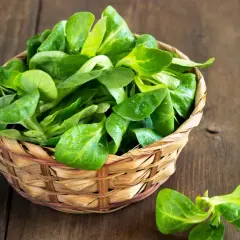 Frischer Feldsalat in einem geflochtenen Korb, bereit, um ihn zuzubereiten. Ein paar Blätter liegen daneben auf dem Holztisch.