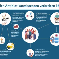 Schema zeigt, wie sich antibiotikaresistente Bakterien verbreiten. Eine bakterielle Infektion kann ansteckend sein und sich über Tiere, Menschen, Lebensmittel und die Umwelt ausbreiten.