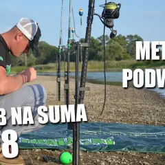 Jak skutecznie zbroić żywca na suma, unikając typowych błędów