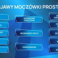 Objawy moczówki prostej u psa: zaparcie, utrata wagi, duża objętość moczu, biegunka, mdłości, nadmierne zmęczenie, bezbarwny mocz, odwodnienie, zmniejszony popęd seksualny, ekstremalne pragnienie, dezorientacja, bóle mięśni, sucha skóra.