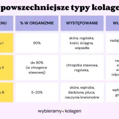 Kolagen typu I nadaje wytrzymałość tkankom, typu II elastyczność, a typu III wpływa na gojenie się ran.