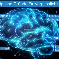 Leuchtendes Gehirn mit Beschriftungen, die mögliche Ursachen für Vergesslichkeit auflisten, darunter Alzheimer/Demenz.