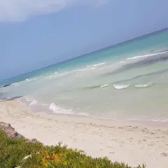 Piękne djerba plaże z turkusową wodą i białym piaskiem. W oddali widać kilka osób kąpiących się w morzu.
