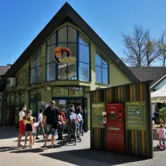 Rodzina czeka na wejście do Zoo Opole. Ile czasu na zwiedzanie? Warto zaplanować cały dzień!