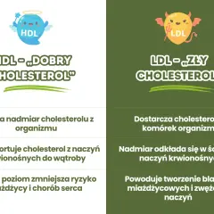HDL jaki to cholesterol i jak wpływa na zdrowie serca?