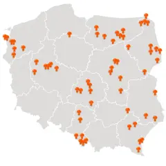 Gdzie na grzyby z noclegiem w Polsce? Odkryj idealne miejsca!