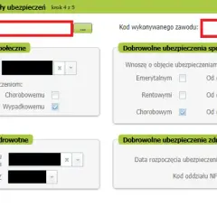 ZUS na pół etatu: Ile płacisz i co zyskujesz? Pełny przewodnik