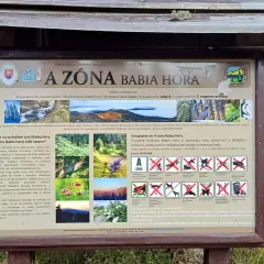 Tablica informacyjna o strefie Babia Góra z psem, opisująca zasady ochrony przyrody.