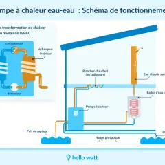 Schéma illustrant le fonctionnement d'une pompe à chaleur eau-eau, de la nappe phréatique au chauffage et à l'eau chaude sanitaire.