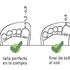 ¿Zapato Feroz adulto? Descubre cómo elegir tu talla y beneficios