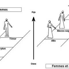 Schéma des tessitures vocales pour la polyphonie musique : hommes (basse, baryton, ténor) et femmes/enfants (alto, mezzo soprano, soprano), du grave à l'aigu.