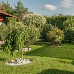 Pielęgnacja Ogrodów: Jakie Są Ceny? Zadbaj o Zieleń Bez Stresu