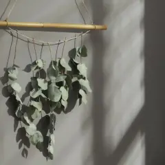 Ein hängender Zweig mit getrocknetem Eukalyptus, befestigt an einem Bambusstock, wirft Schatten an eine graue Wand.