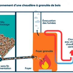 Schéma d'une chaudière à granulés de bois : silo de stockage, vis d'alimentation, foyer avec feu, évacuation des fumées et circuit de chauffage. Le feu pellet et bois alimente le système.