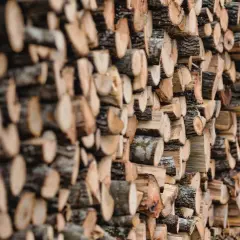 Un mur de bois de hêtre coupé, prêt pour le chauffage d'hiver. Les bûches sont empilées en rangées serrées, révélant leurs cernes et leur écorce rugueuse.