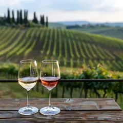 Due calici di vino, uno bianco e uno rosato, su un tavolo di legno con vigneti di Castellina in Chianti sullo sfondo.