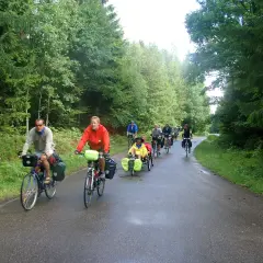 Grupa rowerzystów na malowniczej trasie w Sierakowicach, jadących przez las.