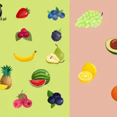 Czy pies może ananasa? Na obrazku owoce: truskawka, jabłko, mango, banan, maliny, borówki, winogrona, awokado, cytryna, pomarańcza, arbuz, gruszka, jeżyna, żurawina.