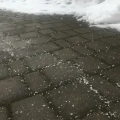 Skuteczne zamienniki soli na chodnik, które nie szkodzą środowisku