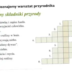 Wino jak drzewo – odkryj tajemnice krzyżówek i odpowiedzi