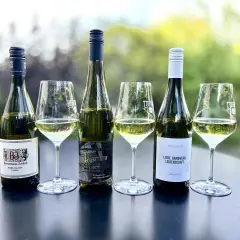 Verkostung von Weißburgunder: Ein Vergleich zwischen verschiedenen Weingütern. Der Unterschied zwischen Riesling und Chardonnay ist hier nicht direkt ersichtlich, aber die Vielfalt des Weißburgunders wird gezeigt.