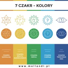 Siedem czakr i ich kolory: od czerwonej czakry podstawy po fioletową czakrę korony. Wizualizacja symboli i nazw.