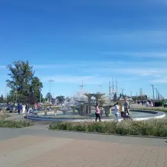 Najbliższe morze z Torunia: Stegna czy Trójmiasto? Szybki wypad!