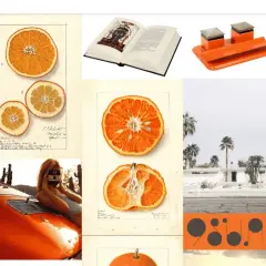 Moodboard mode : orange, de la décoration aux agrumes, en passant par des illustrations botaniques et une voiture vintage.