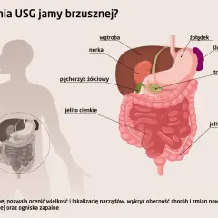 USG jamy brzusznej co wykrywa: wątrobę, nerki, żołądek, jelita, trzustkę, pęcherzyk żółciowy. Pomaga ocenić narządy i wykryć choroby.