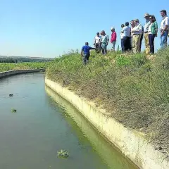 Repartir las aguas para el riego: técnicas efectivas para optimizar el agua