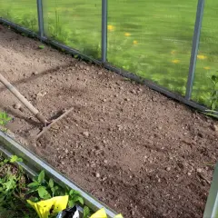 Przygotowanie grządki w szklarni. Grabienie ziemi, która będzie idealna jako jaka ziemia do pomidorów.