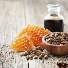 Propolis co to? Miód w plastrze, drewniana miseczka z propolisem i buteleczka z ciemnym płynem na drewnianym tle.