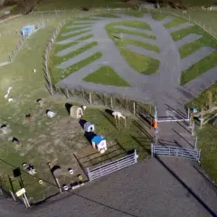 Vue aérienne de la ferme de Bihen avec des animaux, des abris et des emplacements de camping aménagés.