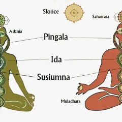 Poza 7 czakr: Kundalini i mistrzostwo energii dla zaawansowanych