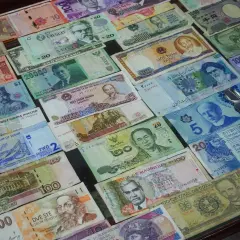 Kolekcja banknotów z różnych krajów, w tym z Urugwaju, Indonezji, Wietnamu, Kanady, Sudanu, Rosji, Mauritiusu, Kuby i innych. Każdy banknot ma swoją dewizę, co to za waluta, widoczne na jego powierzchni.