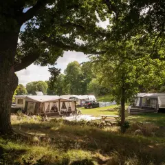 En lugn campingplats i Skönstavik med husvagnar och förtält under stora träd.