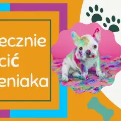 Jak karać szczeniaka? Nie! Wychowaj go pozytywnie i skutecznie.
