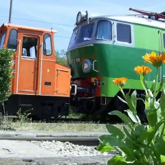 Pomarańczowa lokomotywa manewrowa i zielono-szara lokomotywa elektryczna ET22-558. Żargonowe nazwy taboru kolejowego.