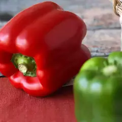 Pimientos asados al horno, un rojo vibrante y un verde fresco listos para deleitar.