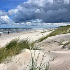 Piaszczyste wydmy porośnięte trawami na Mierzei Wiślanej. W oddali widać morze i kilka osób spacerujących po plaży.