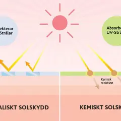 Bilden visar hur fysiskt solskydd reflekterar UV-strålar och kemiskt solskydd absorberar dem. Detta förklarar vad betyder SPF i solskydd.