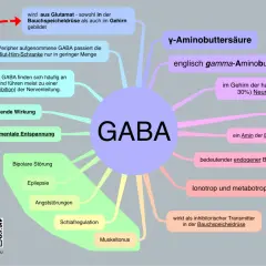 GABA, ein Neurotransmitter, fördert mentale Entspannung und beruhigt. Es ist wichtig für Schlafregulation und Muskeltonus.