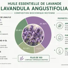 Infographie sur l'huile essentielle de lavande, détaillant sa composition et ses bienfaits : apaisant, purifiant et relaxant.